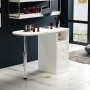 Beauty Salon Wooden Technician Table Nail Station Desk White